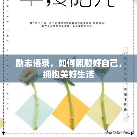 励志语录，如何照顾好自己，拥抱美好生活