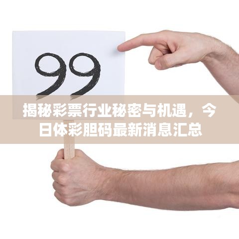 揭秘彩票行业秘密与机遇，今日体彩胆码最新消息汇总