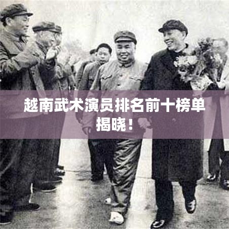 越南武术演员排名前十榜单揭晓！