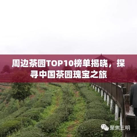 周边茶园TOP10榜单揭晓，探寻中国茶园瑰宝之旅