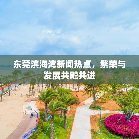 东莞滨海湾新闻热点，繁荣与发展共融共进