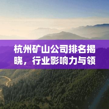 杭州矿山公司排名揭晓，行业影响力与领军企业一览