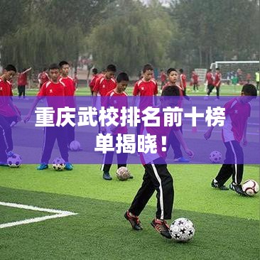 重庆武校排名前十榜单揭晓！