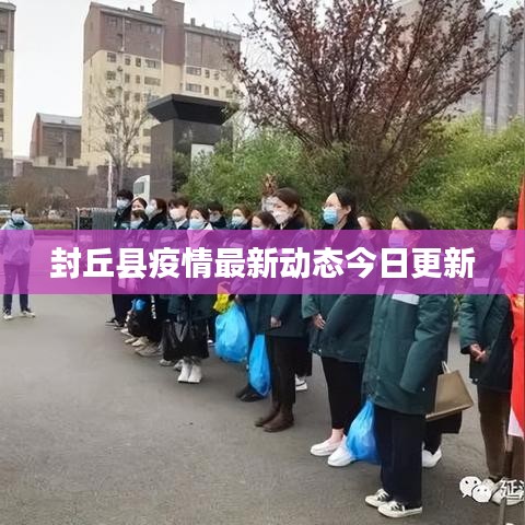 封丘县疫情最新动态今日更新