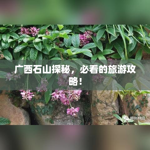 广西石山探秘，必看的旅游攻略！