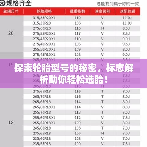 探索轮胎型号的秘密，标志解析助你轻松选胎！