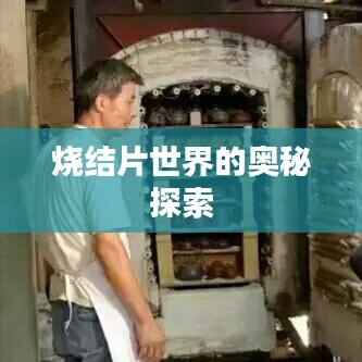 烧结片世界的奥秘探索