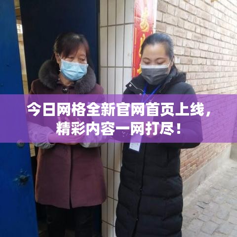 今日网格全新官网首页上线，精彩内容一网打尽！
