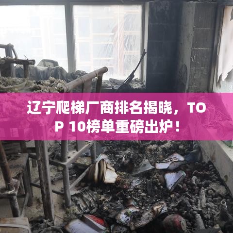 辽宁爬梯厂商排名揭晓，TOP 10榜单重磅出炉！