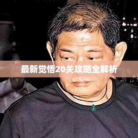 最新觉悟20关攻略全解析