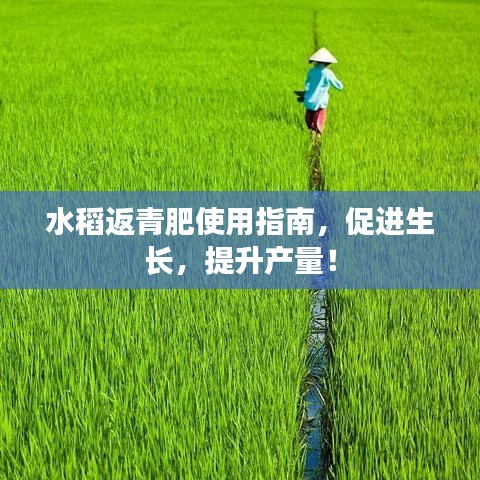 雍容华贵
