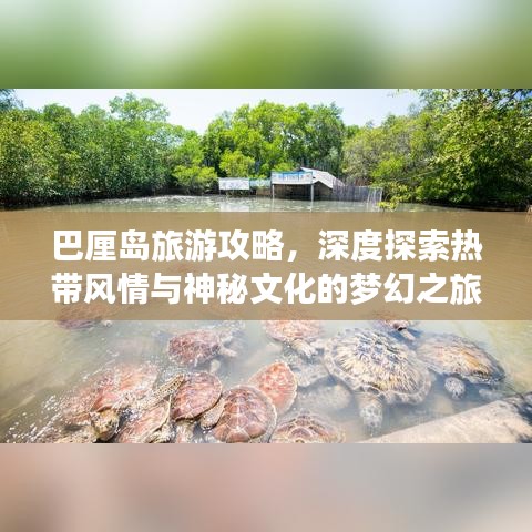 巴厘岛旅游攻略，深度探索热带风情与神秘文化的梦幻之旅