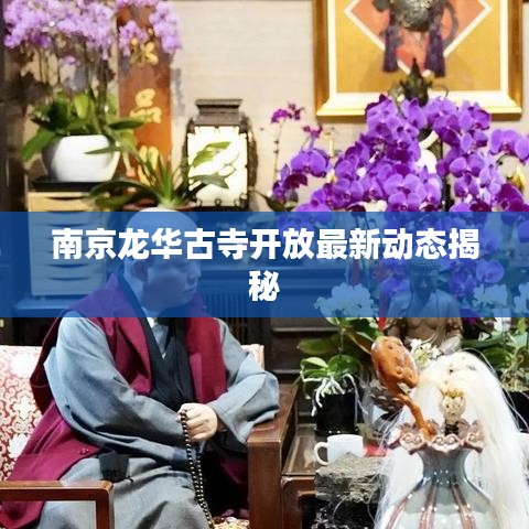南京龙华古寺开放最新动态揭秘