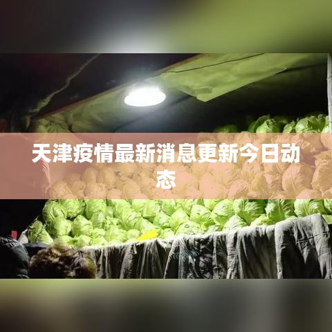 天津疫情最新消息更新今日动态