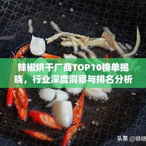辣椒烘干厂商TOP10榜单揭晓，行业深度洞察与排名分析