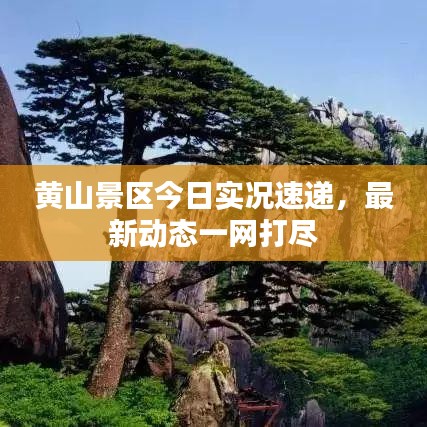 黄山景区今日实况速递，最新动态一网打尽