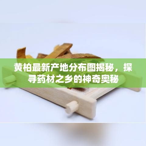 黄柏最新产地分布图揭秘，探寻药材之乡的神奇奥秘