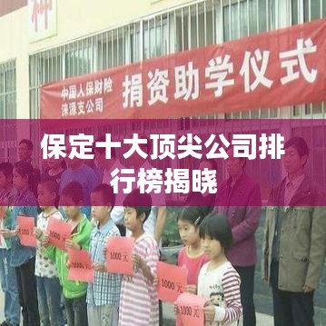 保定十大顶尖公司排行榜揭晓
