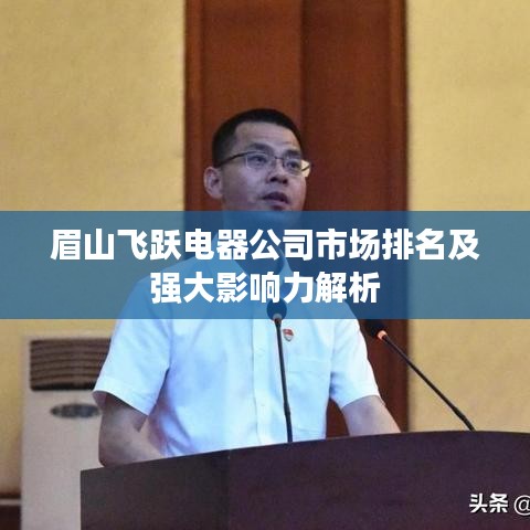 眉山飞跃电器公司市场排名及强大影响力解析