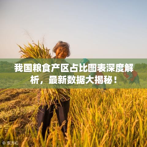 我国粮食产区占比图表深度解析，最新数据大揭秘！