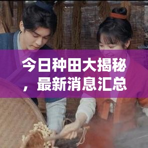 今日种田大揭秘，最新消息汇总