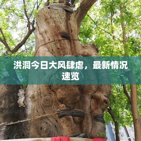 洪洞今日大风肆虐，最新情况速览
