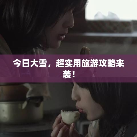 今日大雪，超实用旅游攻略来袭！