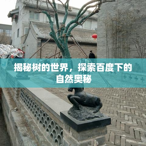 揭秘树的世界，探索百度下的自然奥秘