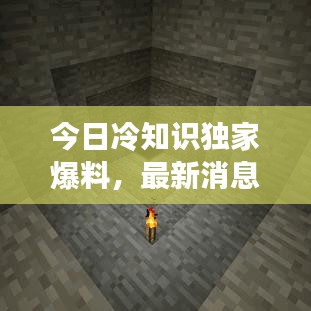今日冷知识独家爆料，最新消息汇总！
