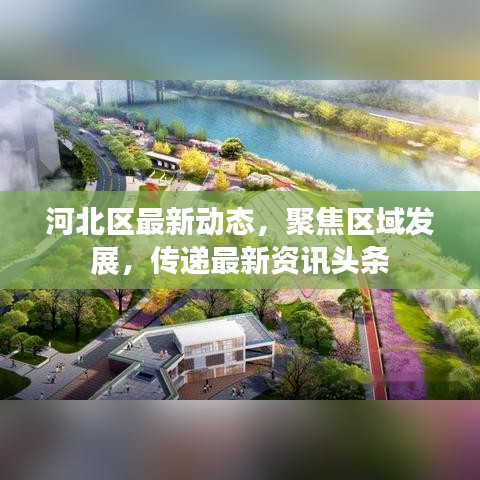 河北区最新动态，聚焦区域发展，传递最新资讯头条