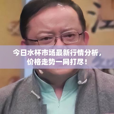 今日水杯市场最新行情分析，价格走势一网打尽！