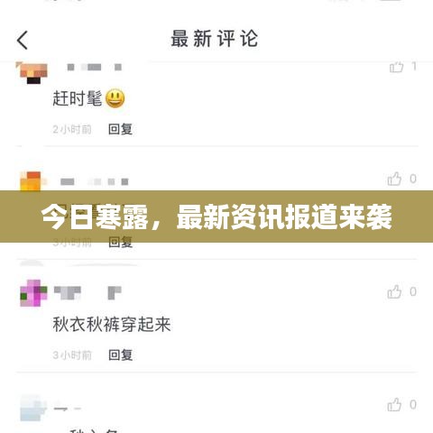 今日寒露，最新资讯报道来袭