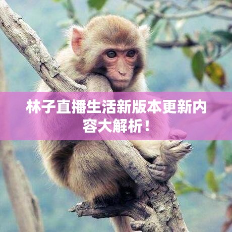林子直播生活新版本更新内容大解析！