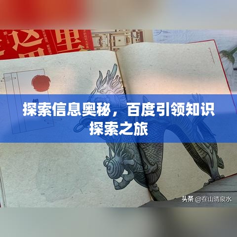 探索信息奥秘，百度引领知识探索之旅