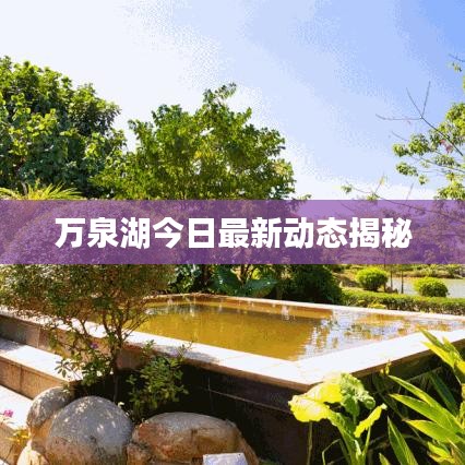 万泉湖今日最新动态揭秘