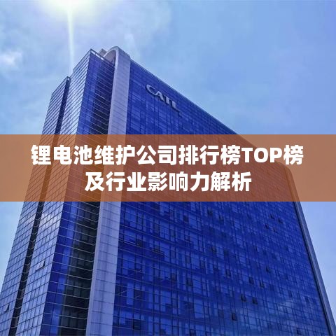 锂电池维护公司排行榜TOP榜及行业影响力解析