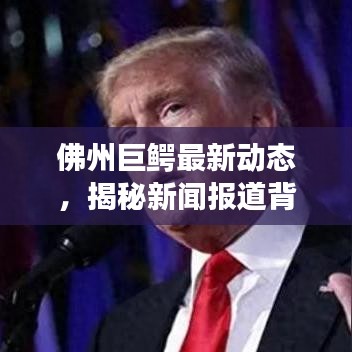 佛州巨鳄最新动态，揭秘新闻报道背后的惊人真相