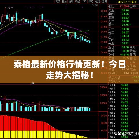 泰格最新价格行情更新！今日走势大揭秘！