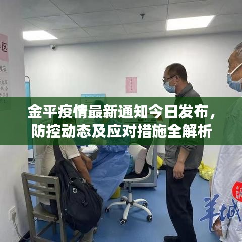 金平疫情最新通知今日发布，防控动态及应对措施全解析