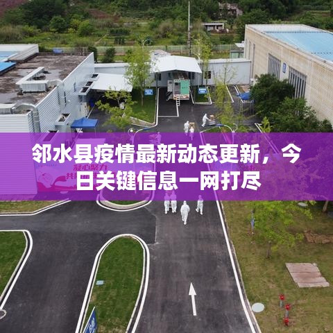 邻水县疫情最新动态更新，今日关键信息一网打尽