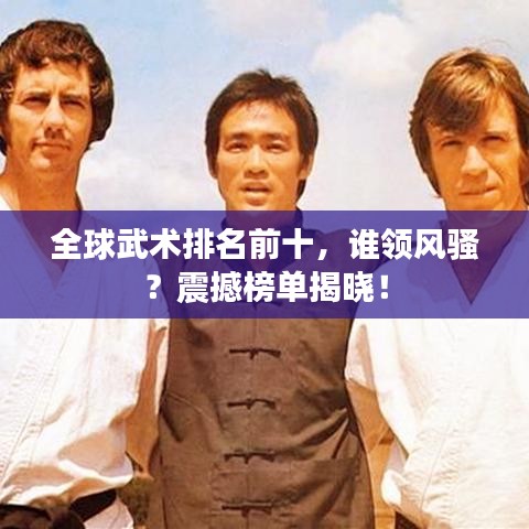 全球武术排名前十，谁领风骚？震撼榜单揭晓！