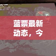 蓝票最新动态，今日消息速递