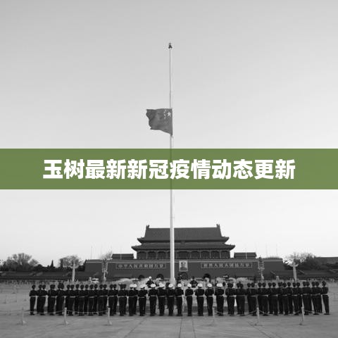钗荆裙布