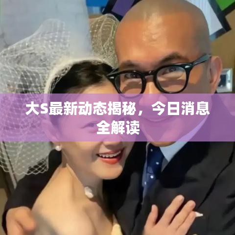 大S最新动态揭秘，今日消息全解读
