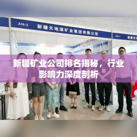 新疆矿业公司排名揭秘，行业影响力深度剖析