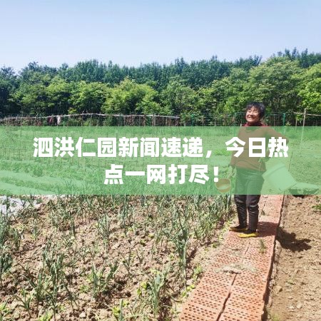 泗洪仁园新闻速递，今日热点一网打尽！