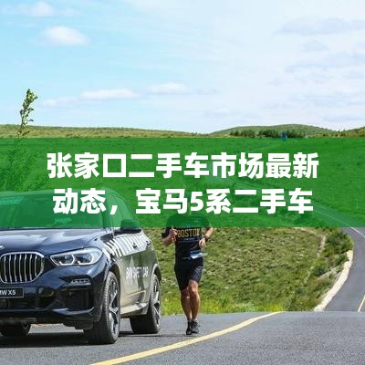 张家口二手车市场最新动态，宝马5系二手车超值出售情报！