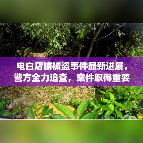 电白店铺被盗事件最新进展，警方全力追查，案件取得重要突破！