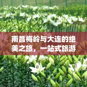 椎髻布衣