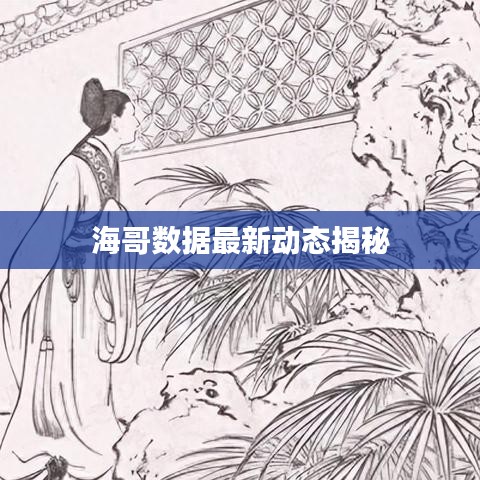 海哥数据最新动态揭秘